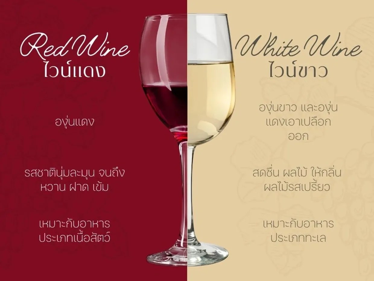 เปรียบเทียบไวน์แดงและไวน์ขาว: องุ่น รสชาติ และอาหารที่เหมาะ